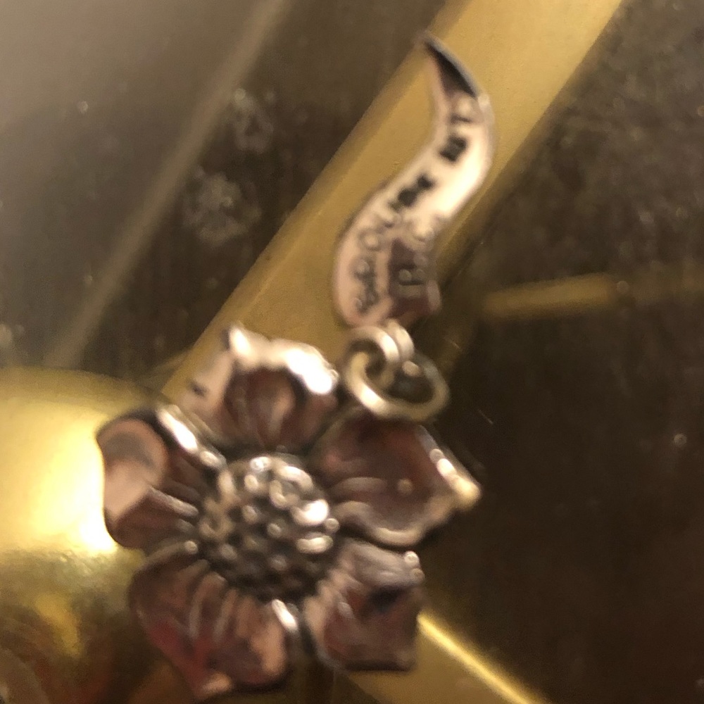 4-sale Vintage Grouse Mt. B.C. sterling Charm- 562 $30 or $25 w/offer